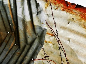 Corrugated Iron Series 19